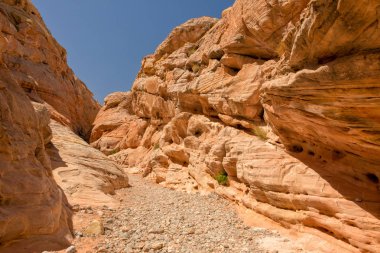 Ateş Vadisi State Park Nevada Abd