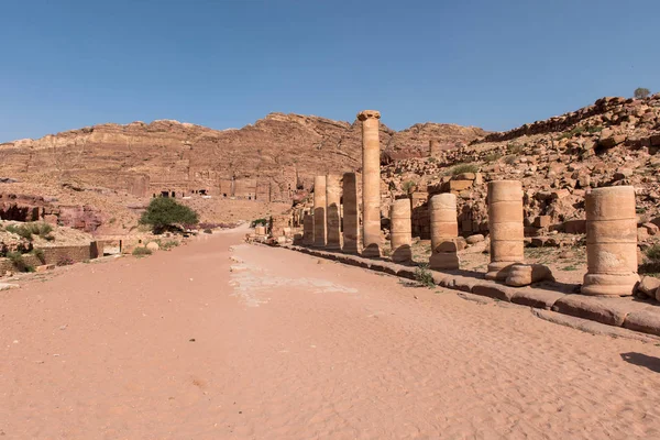 Colonnes Anciennes Sur Rue Colonnade Dans Parc Archéologique Petra Jordanie — Photo