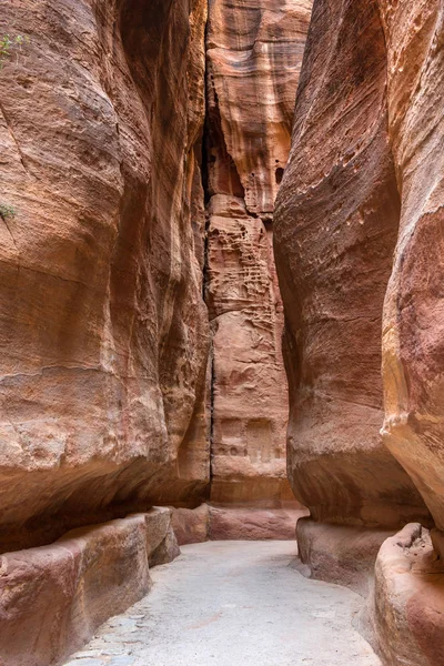 Siq Sandsten Kanjon Petra Jordanien Väg Till Statskassan — Stockfoto