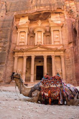 Hazine önünde oturan deve. Petra, Jordan. Nabatean uygarlığı yapılmış antik taş oyma