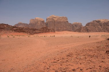 Wadi Rum çölde, Jordan dinlenme deve