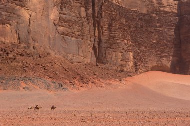Deve kervan Jordan Wadi Rum çöl gidiş
