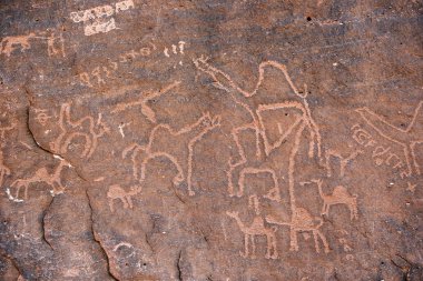 Anfashieh tarih öncesi yazıtlar ve taş bir duvara petroglyps. Wadi Rum, Jordan Nabatean ve Thamudic dönemde deve kervanı gösteren kaya resimler