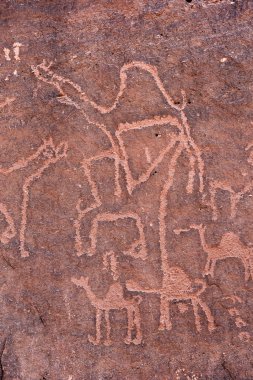 Anfashieh tarih öncesi yazıtlar ve taş bir duvara petroglyps. Wadi Rum, Jordan Nabatean ve Thamudic dönemde deve kervanı gösteren kaya resimler