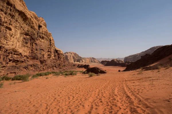 요르단입니다 사막에서 — 스톡 사진