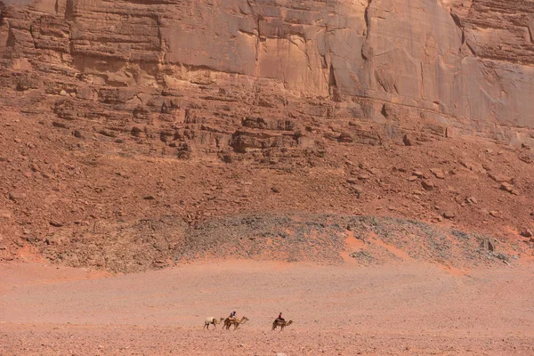 카라반 요르단의와 사막을 — 스톡 사진