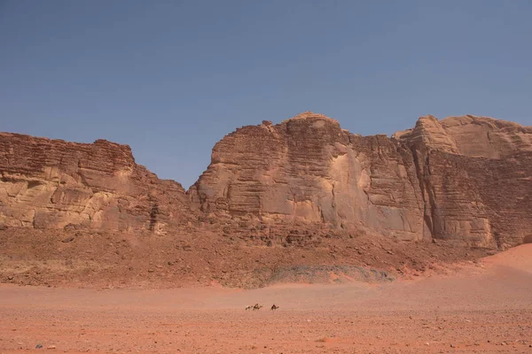카라반 요르단의와 사막을 — 스톡 사진