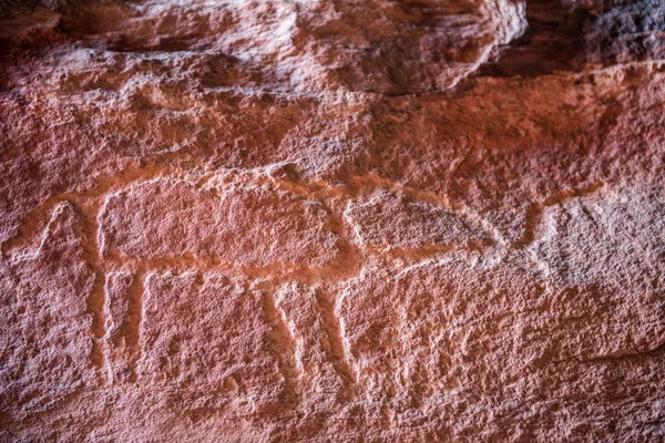 Antiguas Inscripciones Nabateas Tamudias Sobre Rocas Que Representan Caravanas Camellos —  Fotos de Stock
