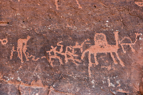 Anfashieh prehistoric inscriptions and petroglyps on a stone wall. Rock art depicting a caravan of camels from Nabatean and Thamudic period in Wadi Rum, Jordan