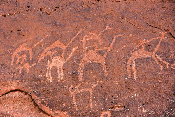 Anfashieh prehistoric inscriptions and petroglyps on a stone wall. Rock art depicting a caravan of camels from Nabatean and Thamudic period in Wadi Rum, Jordan