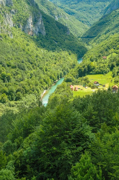 Tara Canyon Montenegro Second Deepest Canyon World Grand Canyon Usa — Stock Photo, Image