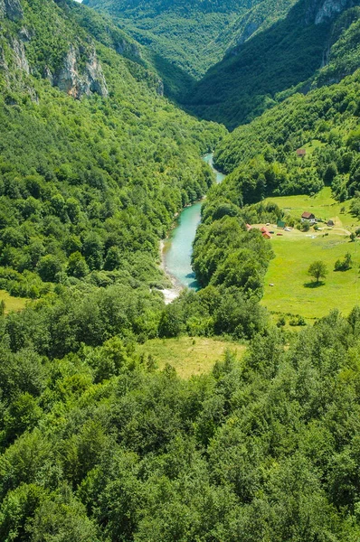 Tara Canyon Montenegro Tweede Diepste Canyon Wereld Grand Canyon Verenigde — Stockfoto