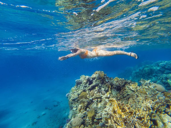 Žena Potápění Pod Vodou Nad Korálovými Útesy Rudé Moře Eilat — Stock fotografie
