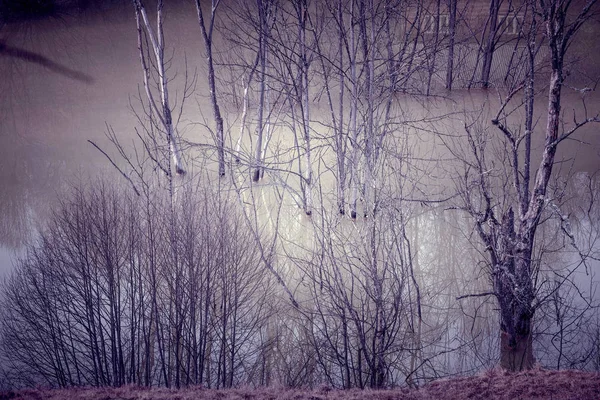 正在死亡的植被 被铜矿残渣污染的水 罗马尼亚蒙大拿州 — 图库照片