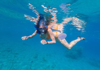 Genç bir kadın tarafından mor bir denizanası tropikal deniz scarried içinde şnorkel sualtı çekim