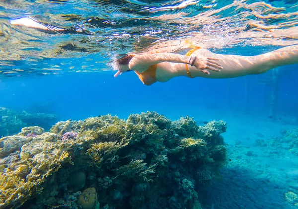 Підводний Знімок Молодої Жінки Занурюється Тропічне Море Над Кораловим Рифом — стокове фото