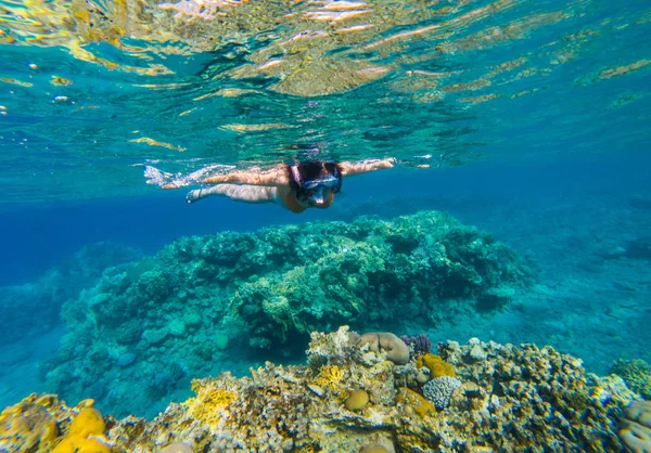 サンゴ礁の上の熱帯の海でシュノーケ リングの若い女性の水中撮影 — ストック写真