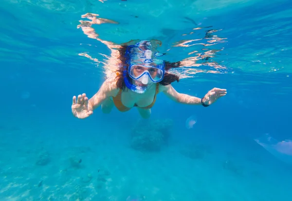 サンゴ礁の上の熱帯の海でシュノーケ リングの若い女性の水中撮影 くらげと泳いでいる少女 — ストック写真