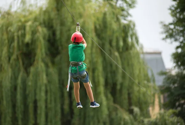 Cluj Roménia Junho 2018 Criança Desce Uma Ziplina Parque Durante — Fotografia de Stock