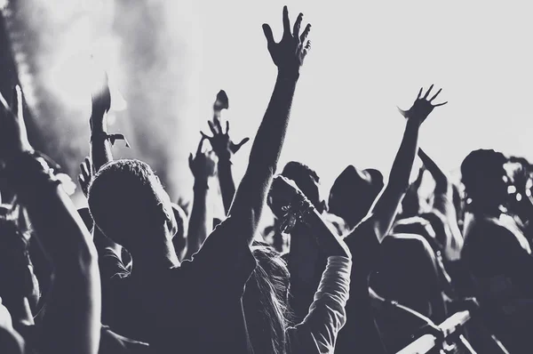 People Raised Arms Partying Concert Toned Image — Stock Photo, Image