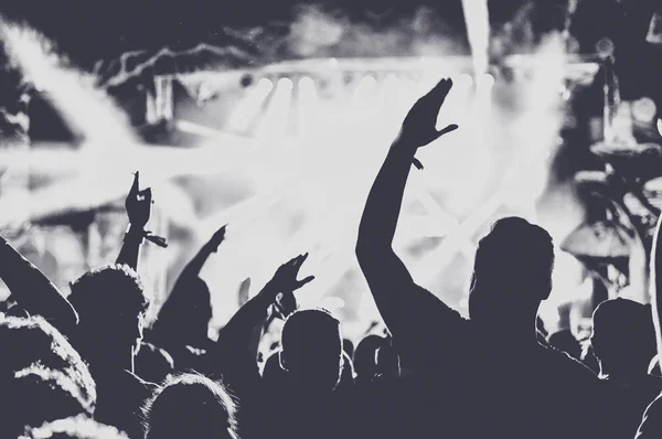 Άνθρωποι Υψωμένα Χέρια Πάρτι Συναυλία Πιο Ήπια Εικόνα — Φωτογραφία Αρχείου