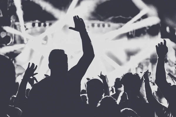 在音乐会上举起双臂聚会的人 色调图像 — 图库照片