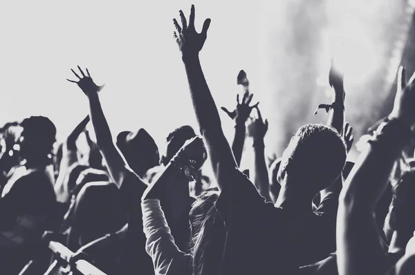 People Raised Arms Partying Concert Toned Image — Stock Photo, Image