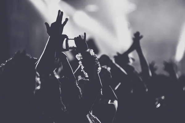 People Raised Arms Partying Concert Toned Image — Stock Photo, Image