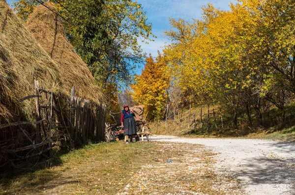 Ramet Rumänien Oktober 2017 Gammal Kvinna Bära För Boskap Landsbygden — Stockfoto