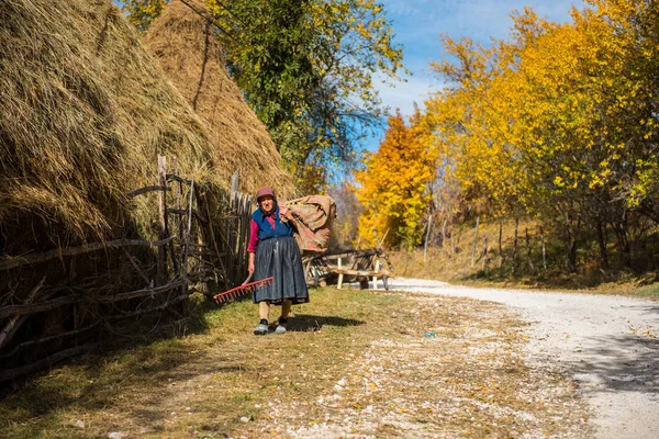 Ramet Roemenië Oktober 2017 Een Oude Vrouw Met Hooi Voor — Stockfoto