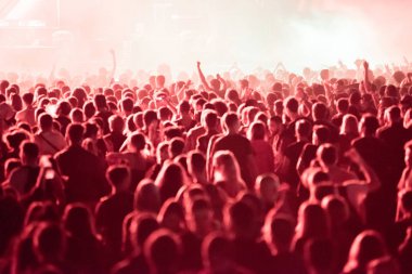 Bontida, Romanya - 21 Temmuz 2018: Kalabalık parti insanların Dj eksizyon canlı bir set elektrik kale Festivali sırasında dans