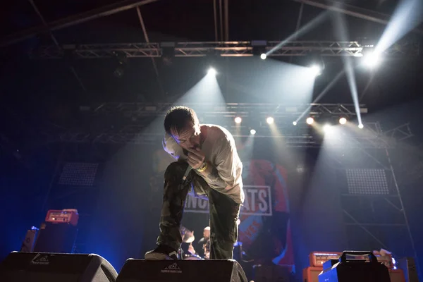 Hardcore punk konsert — Stockfoto