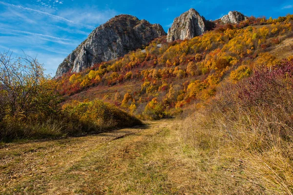 Jesienna Panorama Wsi Górach Las Kolorowych Liści Transylwania Rumunia — Zdjęcie stockowe