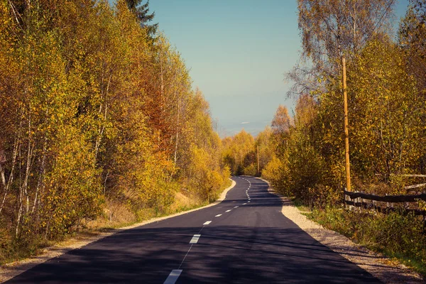 秋天穿过落叶森林的空旷道路 — 图库照片