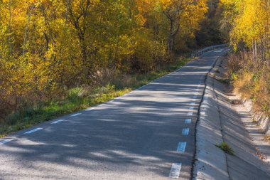 Sonbaharda yaprakların olduğu ormandan geçen boş bir yol.