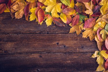 Sonbahar natürmort kavramı arka plan. Yapraklar sonbaharda, Masa üstü goodies hasat. Metin, Şükran günü kartpostal için yer