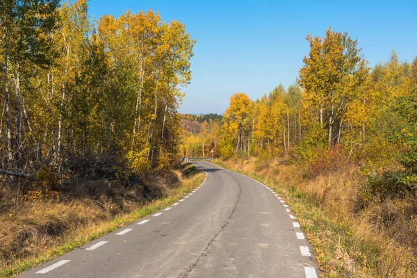 Порожня Дорога Веде Крізь Осінній Листяний Ліс Восени — стокове фото