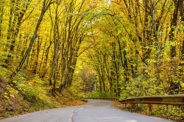 Leere Straße Führt Herbst Durch Laubwald — Stockfoto