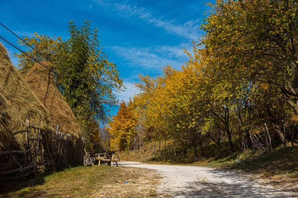 Strada Sterrata Attraverso Villaggio Montagna Colorata Foresta Autunnale Casa Legno — Foto Stock