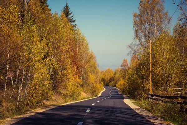 Leere Straße Führt Herbst Durch Laubwald — Stockfoto