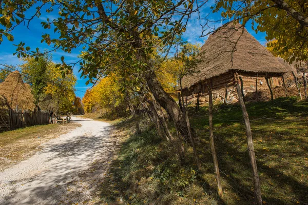 山の村を通って未舗装の道路 カラフルな秋の森と木の家 — ストック写真