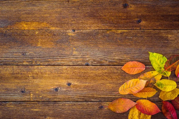 Autumn Composition Colorful Leaves Wooden Table — Stock Photo, Image