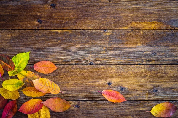 Autumn Composition Colorful Leaves Wooden Table — Stock Photo, Image