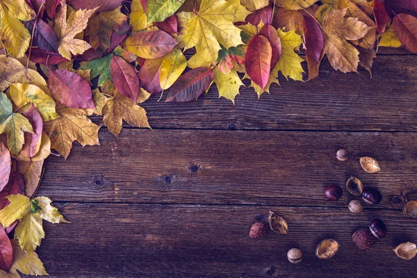 Autumn Still Life Concept Background Fall Leaves Harvest Goodies Table — Stock Photo, Image