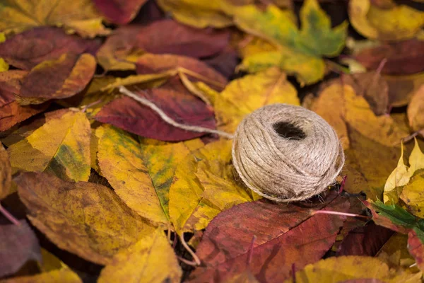 Corda Iuta Naturale Corda Ritorta Rotolo Lino Sulle Foglie Autunnali — Foto Stock