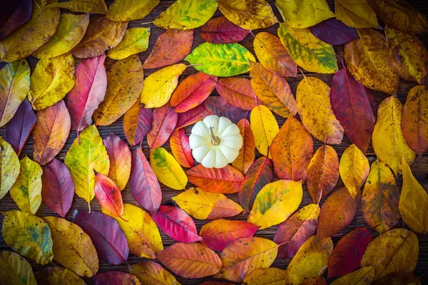 Autumn Composition Colorful Leaves White Pumpkinon Wooden Table — Stock Photo, Image