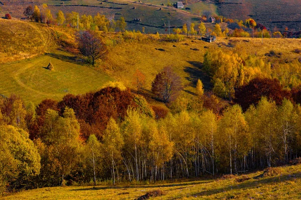 Paesaggio Autunnale Colorato Sulle Montagne Apuseni Transilvania Romania — Foto Stock