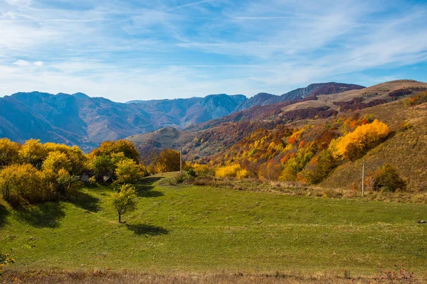 Höstlandskap Med Färgglada Träd Falla Carpathains Rumänien — Stockfoto