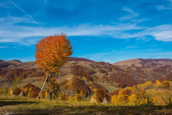 Farbenfrohe Herbstlandschaft Den Apuseni Bergen Transsilvanien Rumänien — Stockfoto