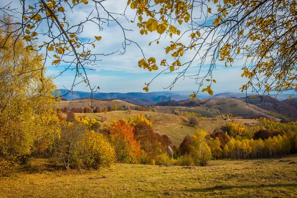 秋天的风景与五颜六色的树 秋天在 Carpathains 罗马尼亚 — 图库照片